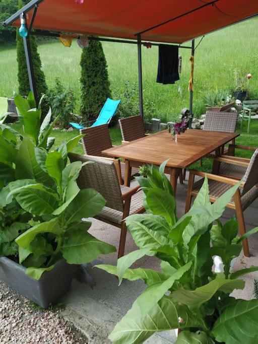 Upcycling Fischl - Nachhaltig Und Kreativ Wohnen Fuer Gross Und Klein * Jenbach